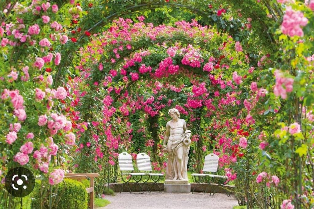 Royal Apartment بادن بادن المظهر الخارجي الصورة